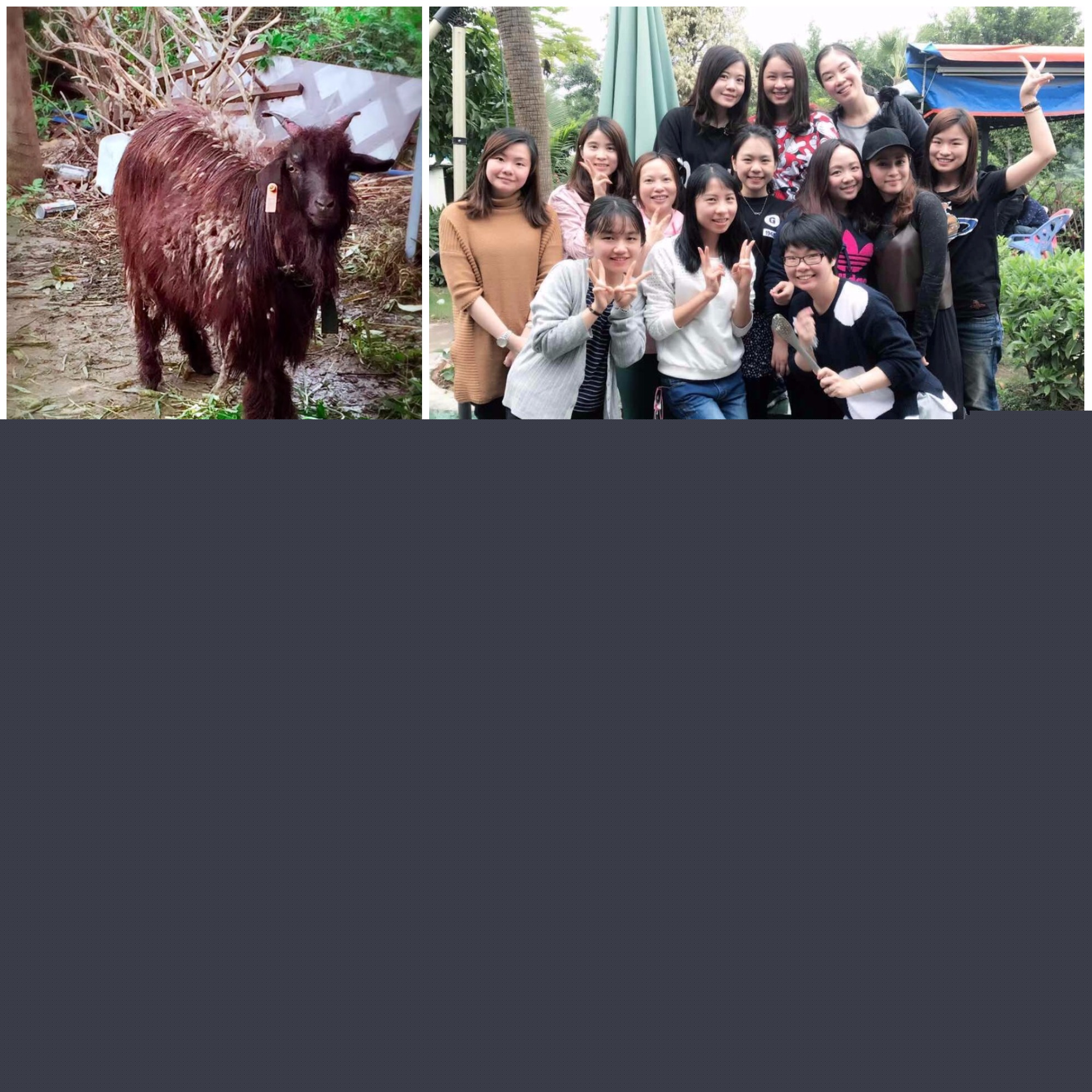 [景鴻快訊] 歡樂團建，實力與顏值并存的客戶關系支援團隊