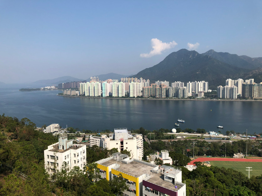 [實(shí)時(shí)焦點(diǎn)]揭秘丨優(yōu)才計(jì)劃最新獲批數(shù)據(jù)出爐！為您移居香港指一條明路~