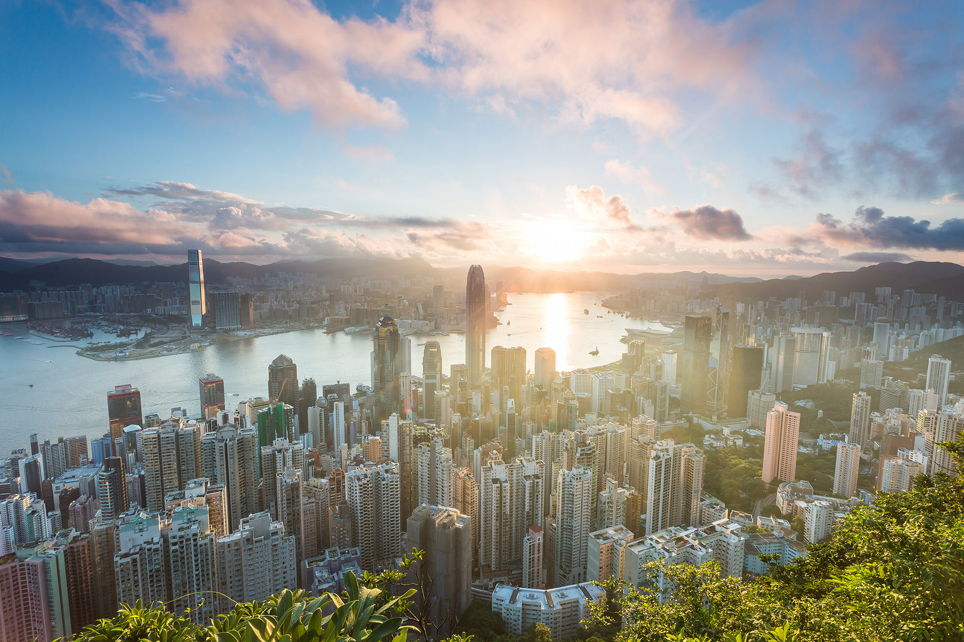 不看學(xué)歷也能申請(qǐng)香港身份?名校畢業(yè)即“落戶”香港?火出圈的高才通計(jì)劃適