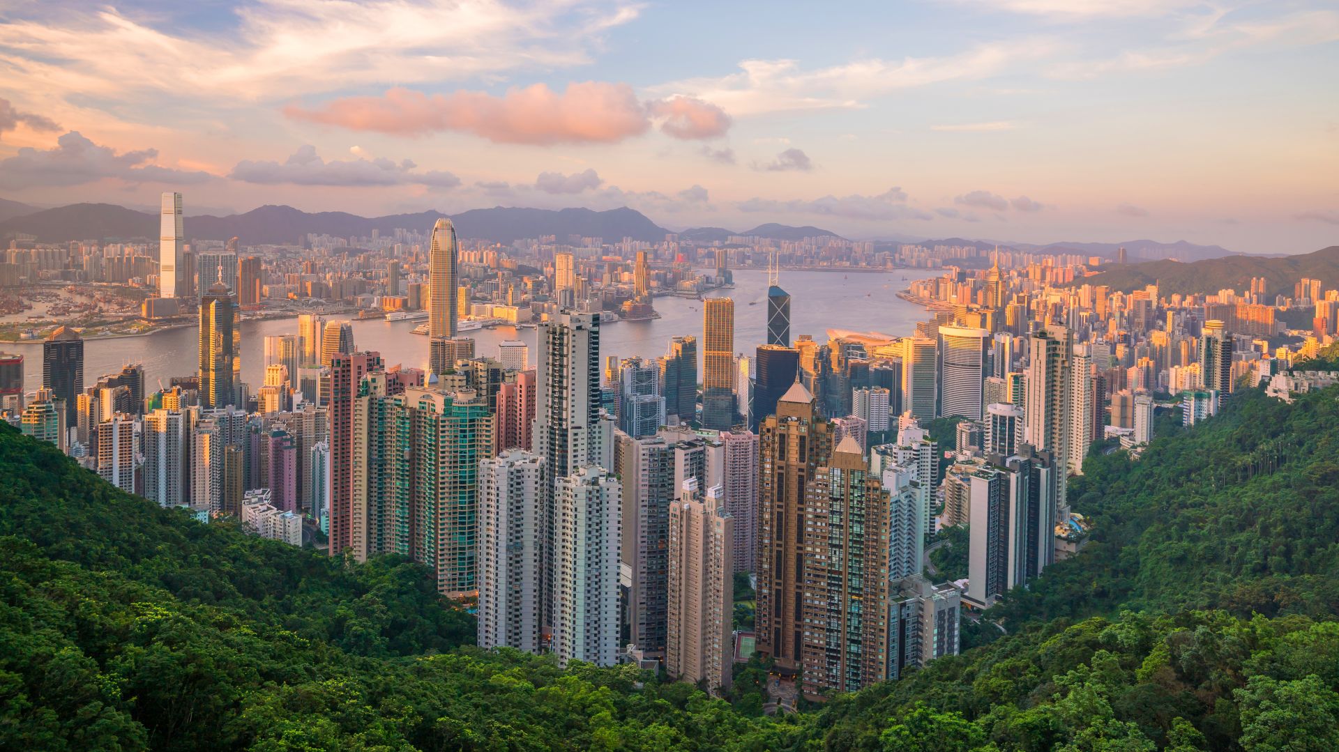 香港身份,香港輸入內(nèi)地人才計劃