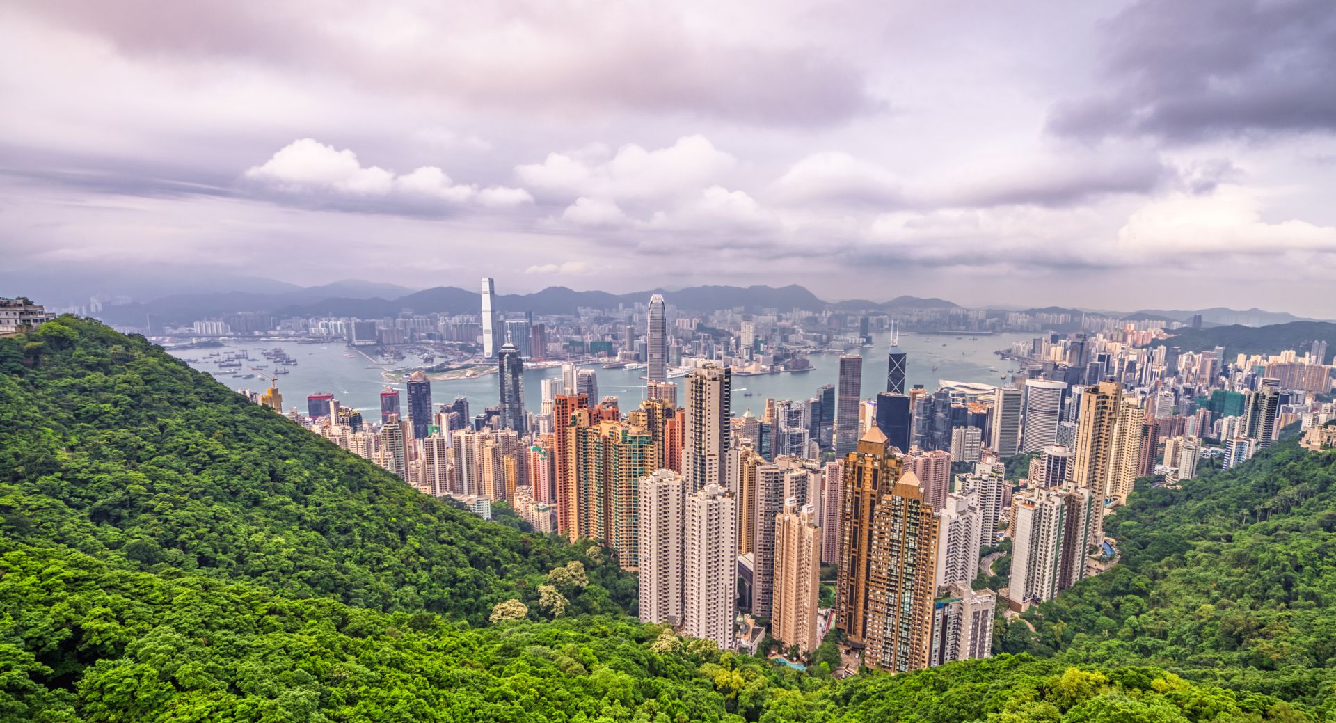 香港高才通計(jì)劃,香港移居