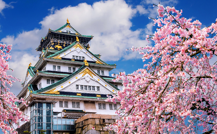 到日本開公司就有機(jī)會拿身份？甚至有機(jī)會快至1年拿永??？