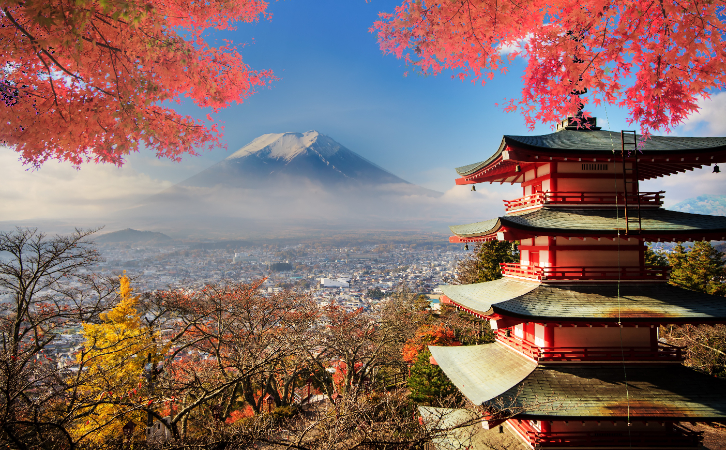 移居日本的中國人數(shù)多了4倍？看到這些原因，完全理解了！