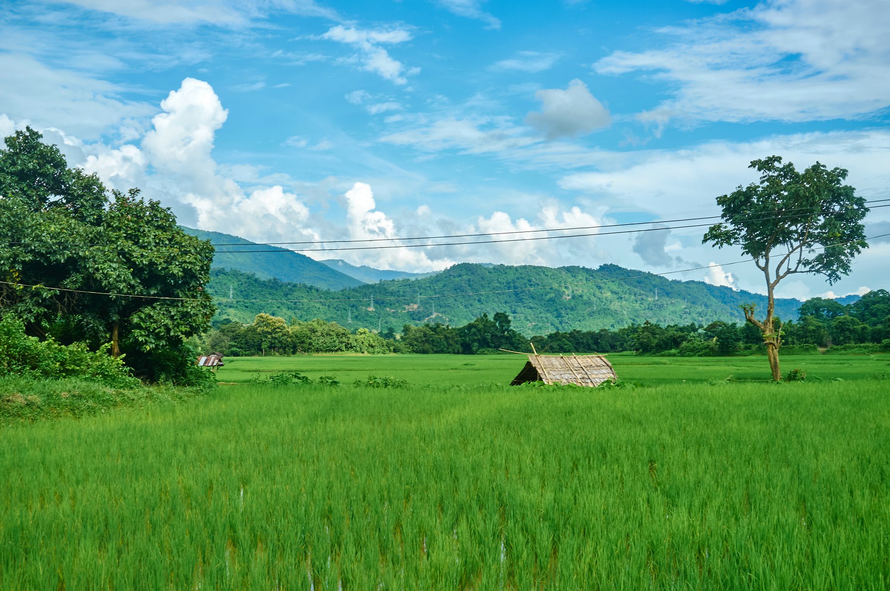 加拿大永久居民身份,加拿大居住要求