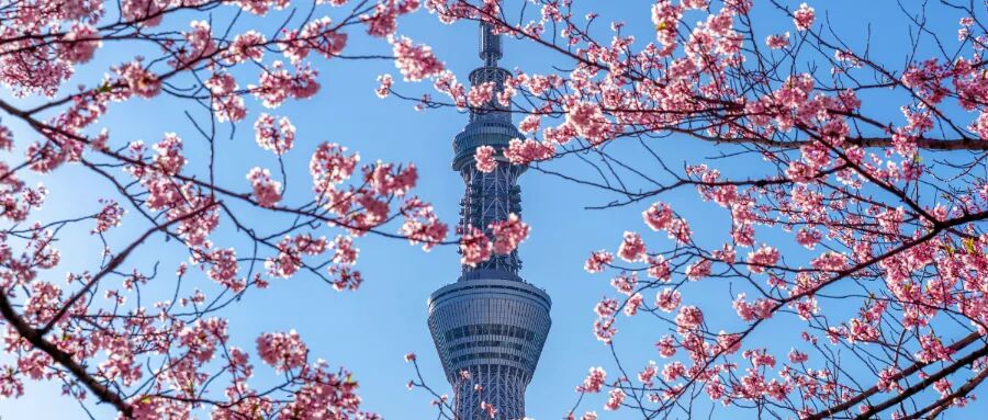 門檻猛翻6倍，還將新增這些要求？新政或在10月正式落地？